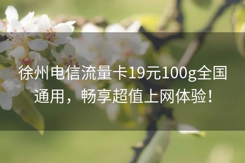 徐州电信流量卡19元100g全国通用，畅享超值上网体验！