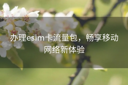 办理esim卡流量包，畅享移动网络新体验