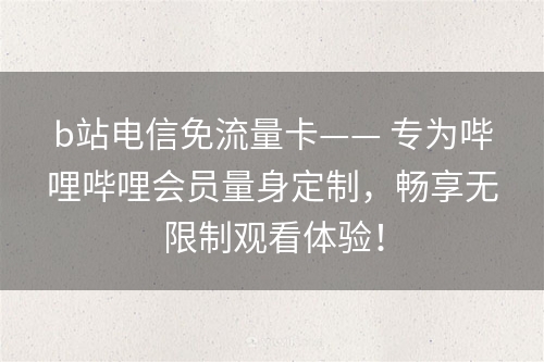 b站电信免流量卡—— 专为哔哩哔哩会员量身定制，畅享无限制观看体验！